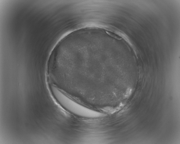 X0000068891048200605192130