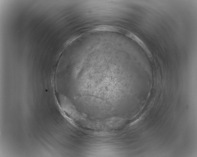 X0000068891049200605192130