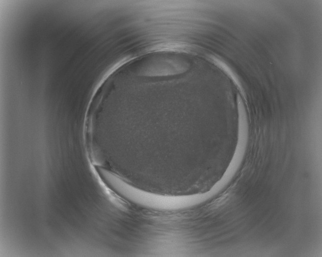 X0000068891050200605192130