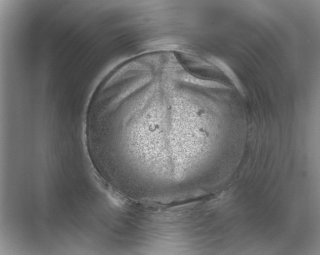 X0000068891051200605192130