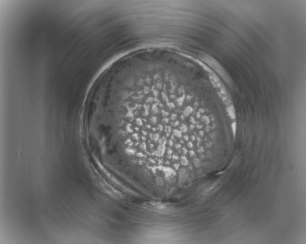 X0000068891052200605192130