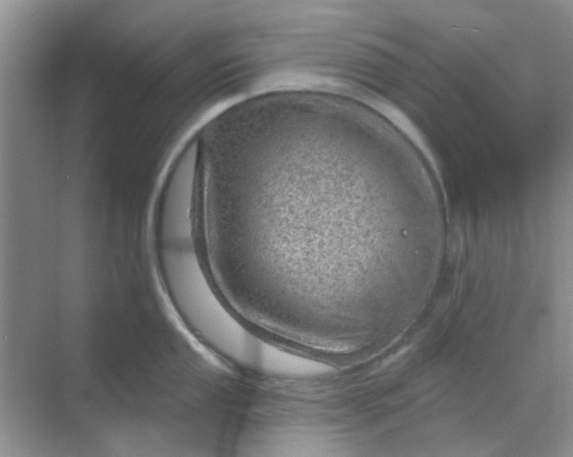 X0000068891053200605192130