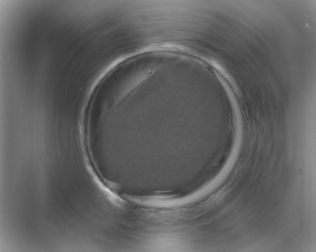 X0000068891054200605192130