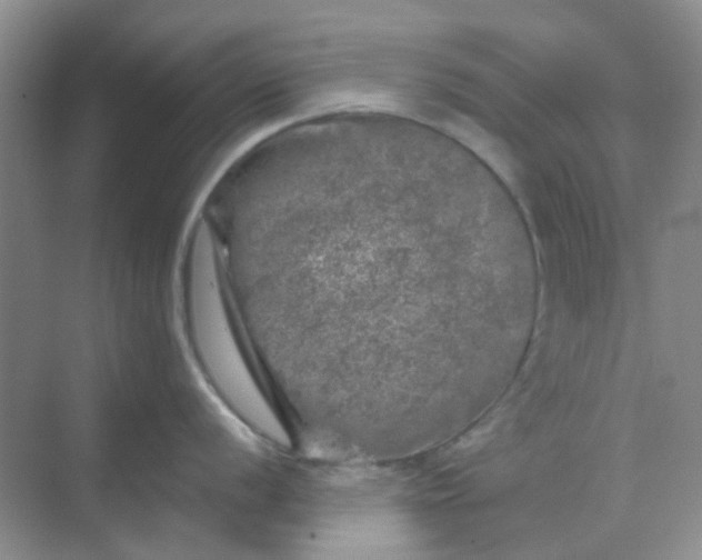 X0000068891056200605192130