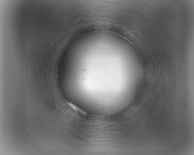 X0000068891057200605192129