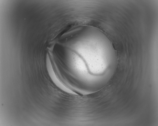 X0000068891058200605192129