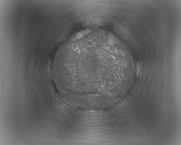 X0000068891059200605192129