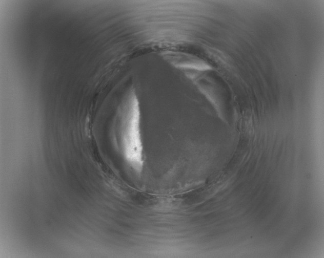 X0000068891060200605192129