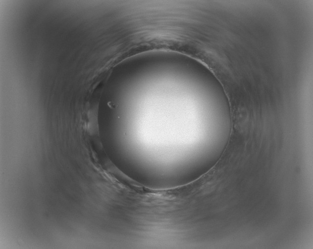 X0000068891061200605192129