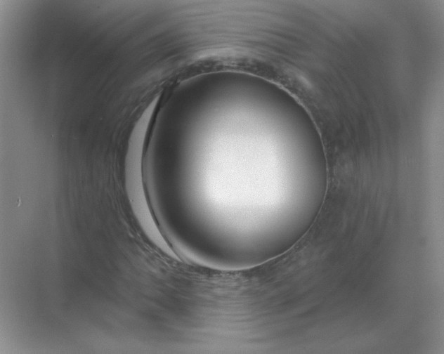 X0000068891062200605192129