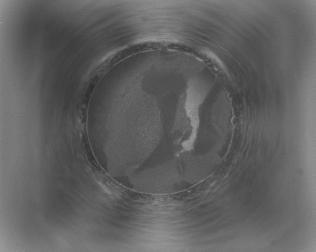 X0000068891064200605192129