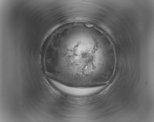 X0000068891066200605192129