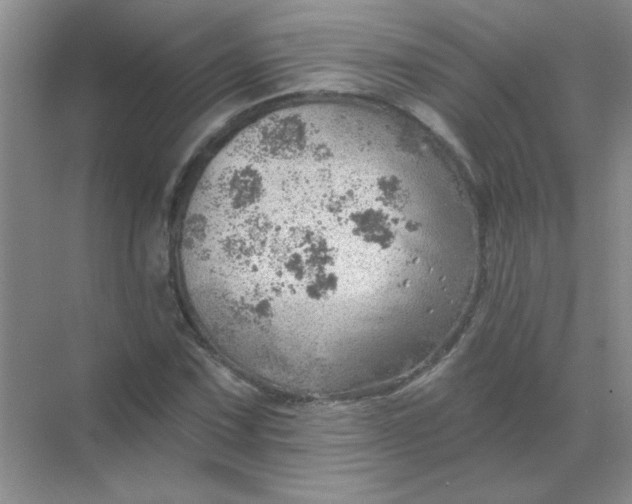 X0000068891067200605192129