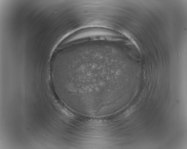 X0000068891069200605192129