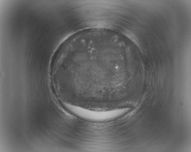 X0000068891071200605192129