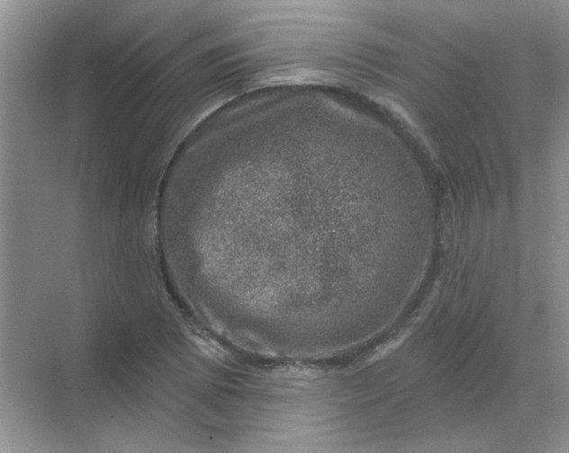 X0000068891073200605192129