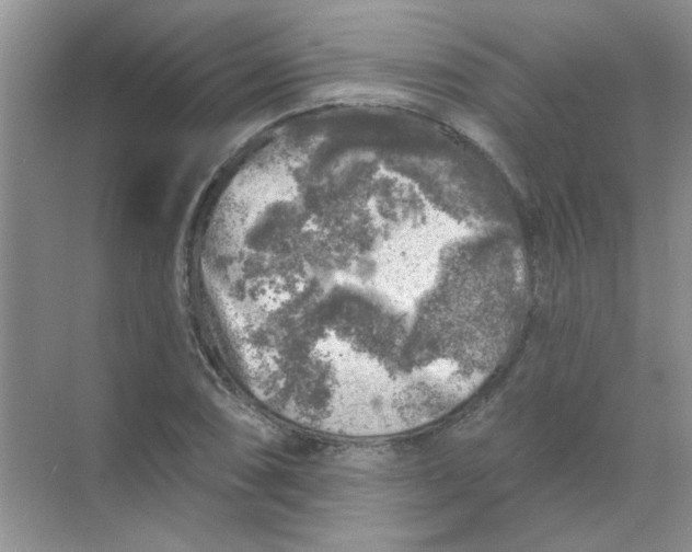 X0000068891074200605192129