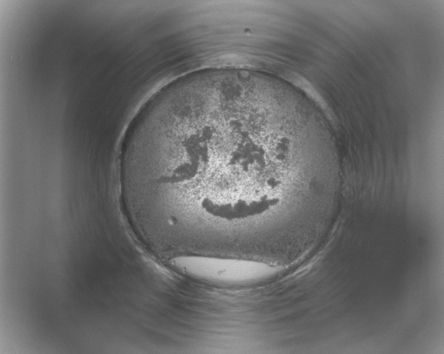 X0000068891075200605192129