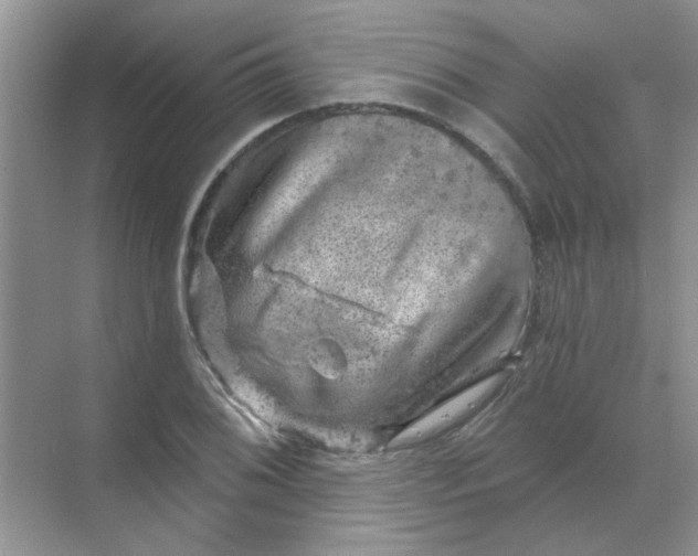 X0000068891076200605192129