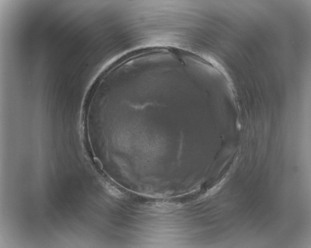 X0000068891077200605192129