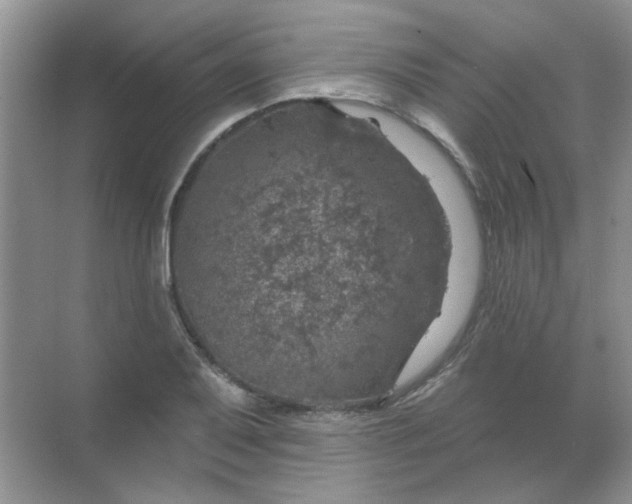 X0000068891079200605192129