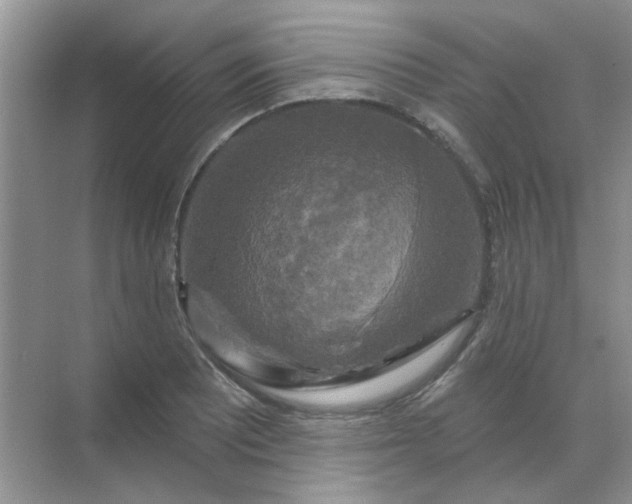 X0000068891081200605192129