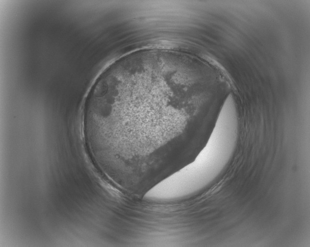 X0000068891083200605192129