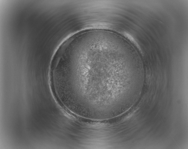 X0000068891085200605192129