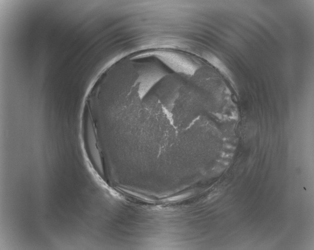 X0000068891088200605192129