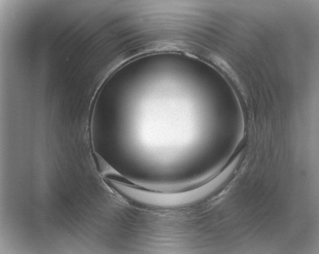 X0000068891089200605192129