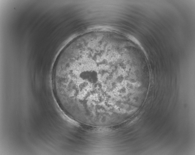 X0000068891090200605192129