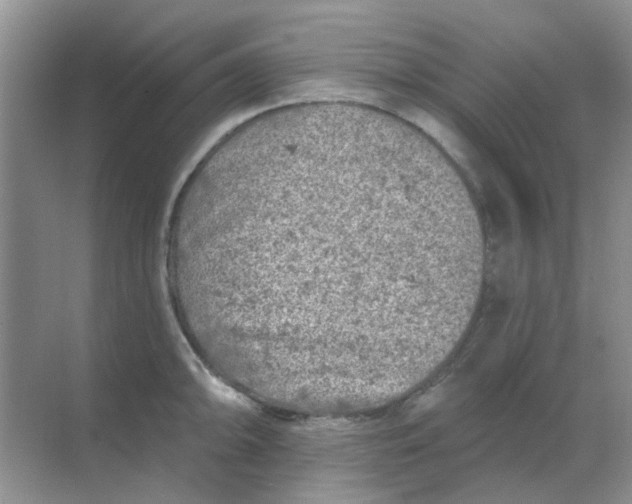 X0000068891094200605192128