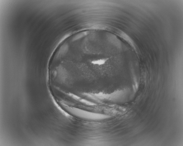 X0000068891095200605192128