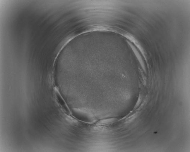 X0000068891097200605192128