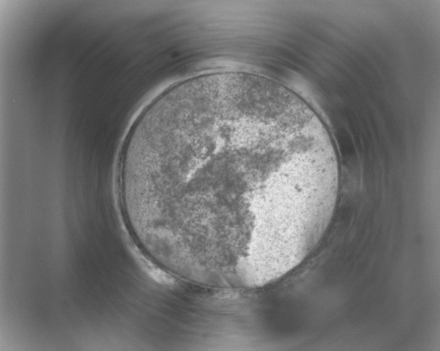 X0000068891098200605192128