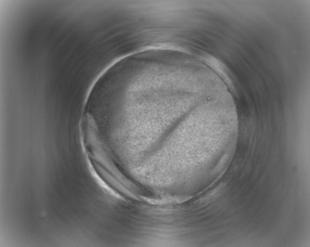 X0000068891100200605192128