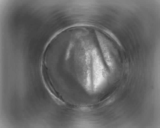 X0000068891101200605192128