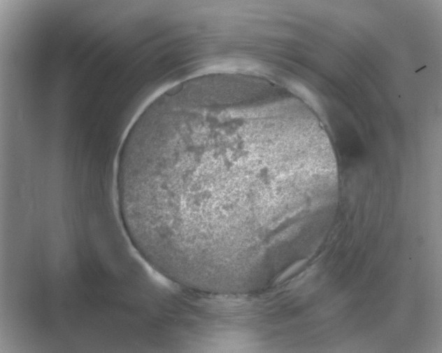 X0000068891103200605192128