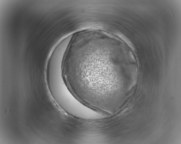 X0000068891104200605192128