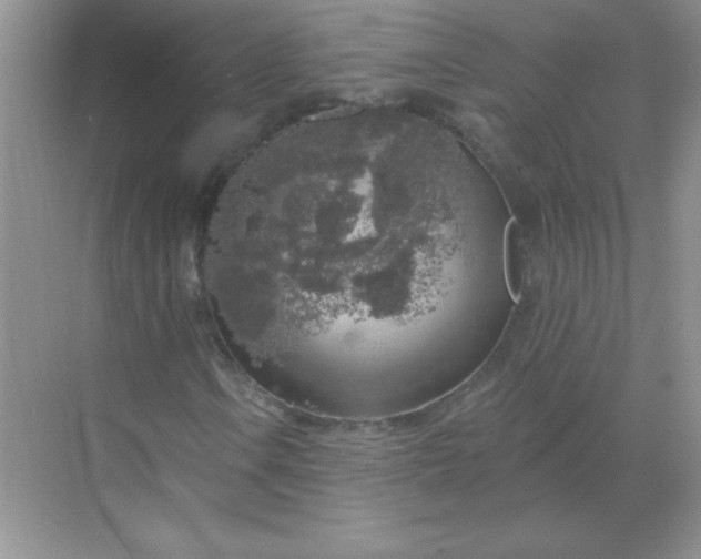 X0000068891106200605192127