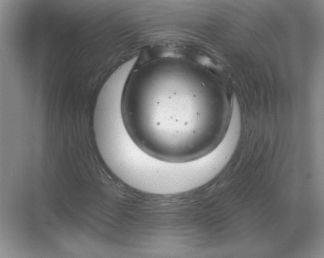 X0000068891108200605192128