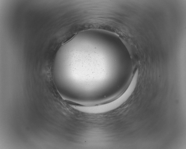 X0000068891109200605192128