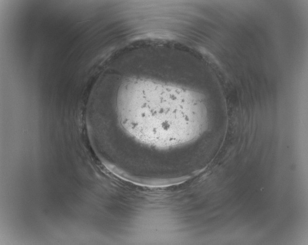 X0000068891110200605192128