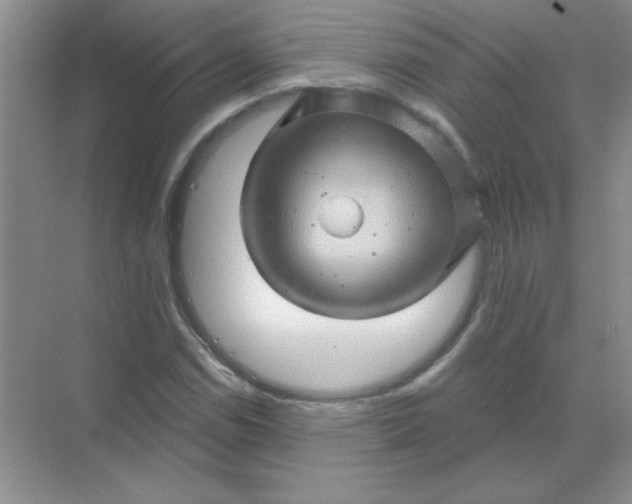 X0000068891114200605192128