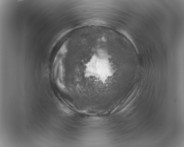 X0000068891115200605192128