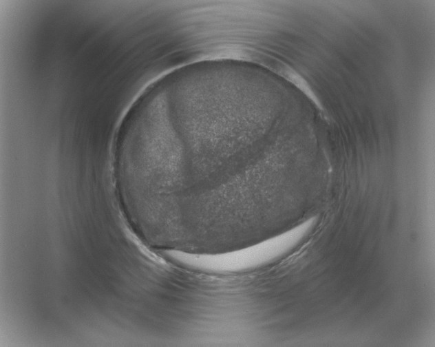 X0000068891116200605192128