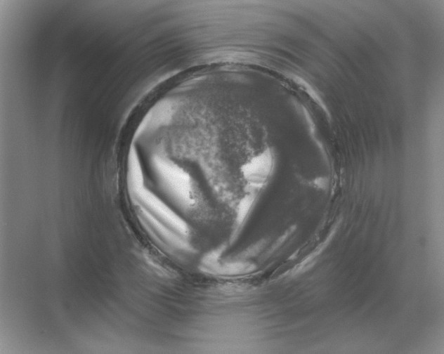 X0000068891117200605192128