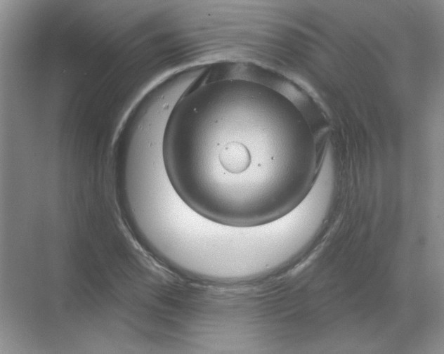 X0000068891118200605192128