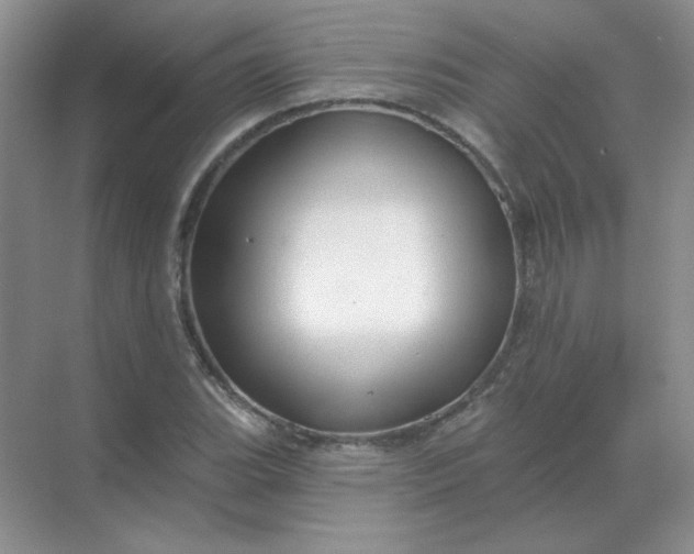 X0000068891119200605192128