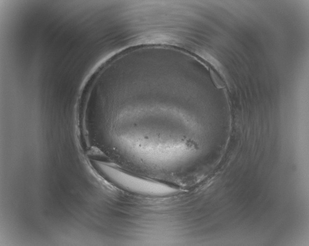 X0000068891120200605192128